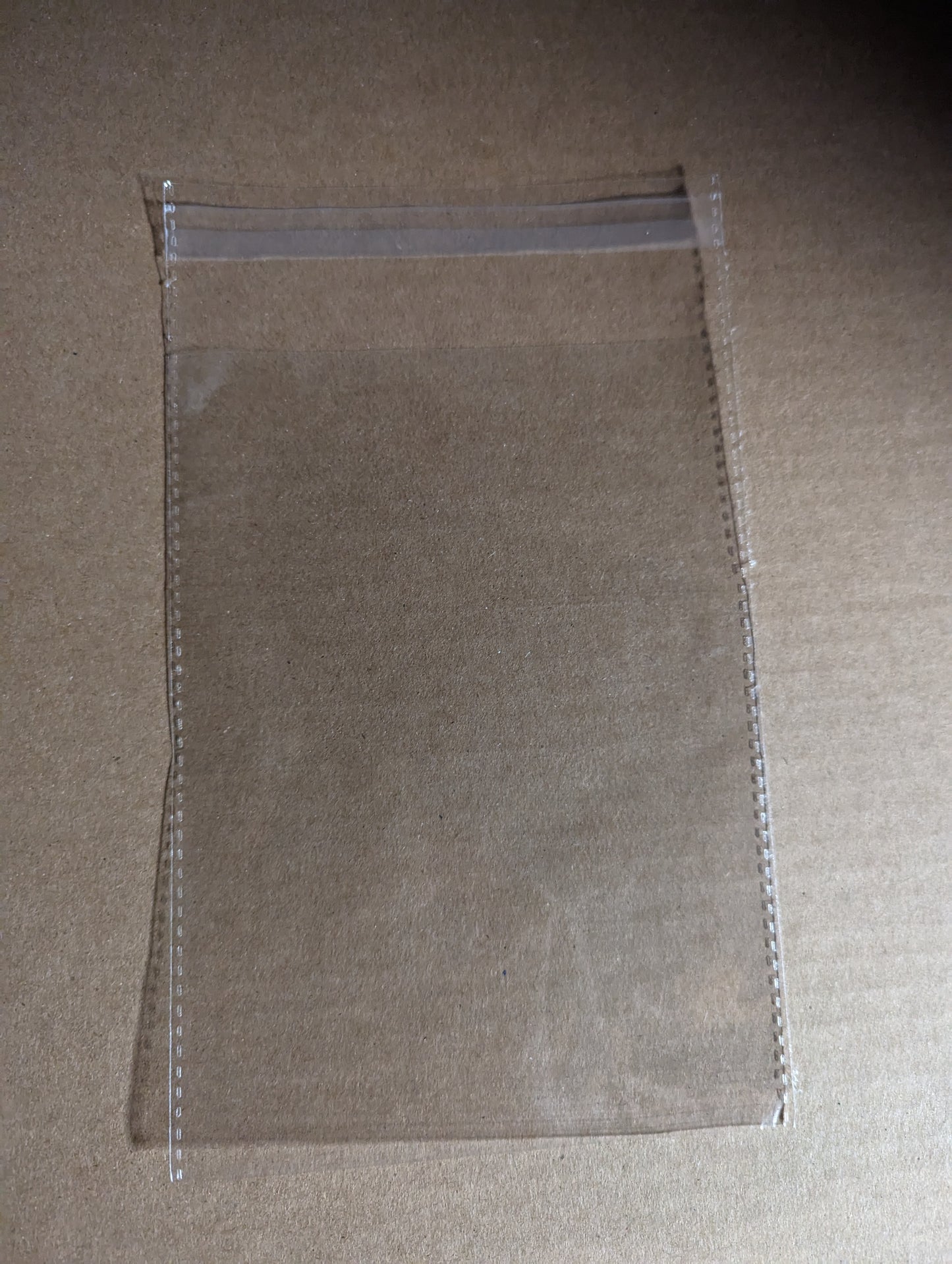 Clear OPP Bags - 10 Pack